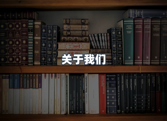 专业团队
